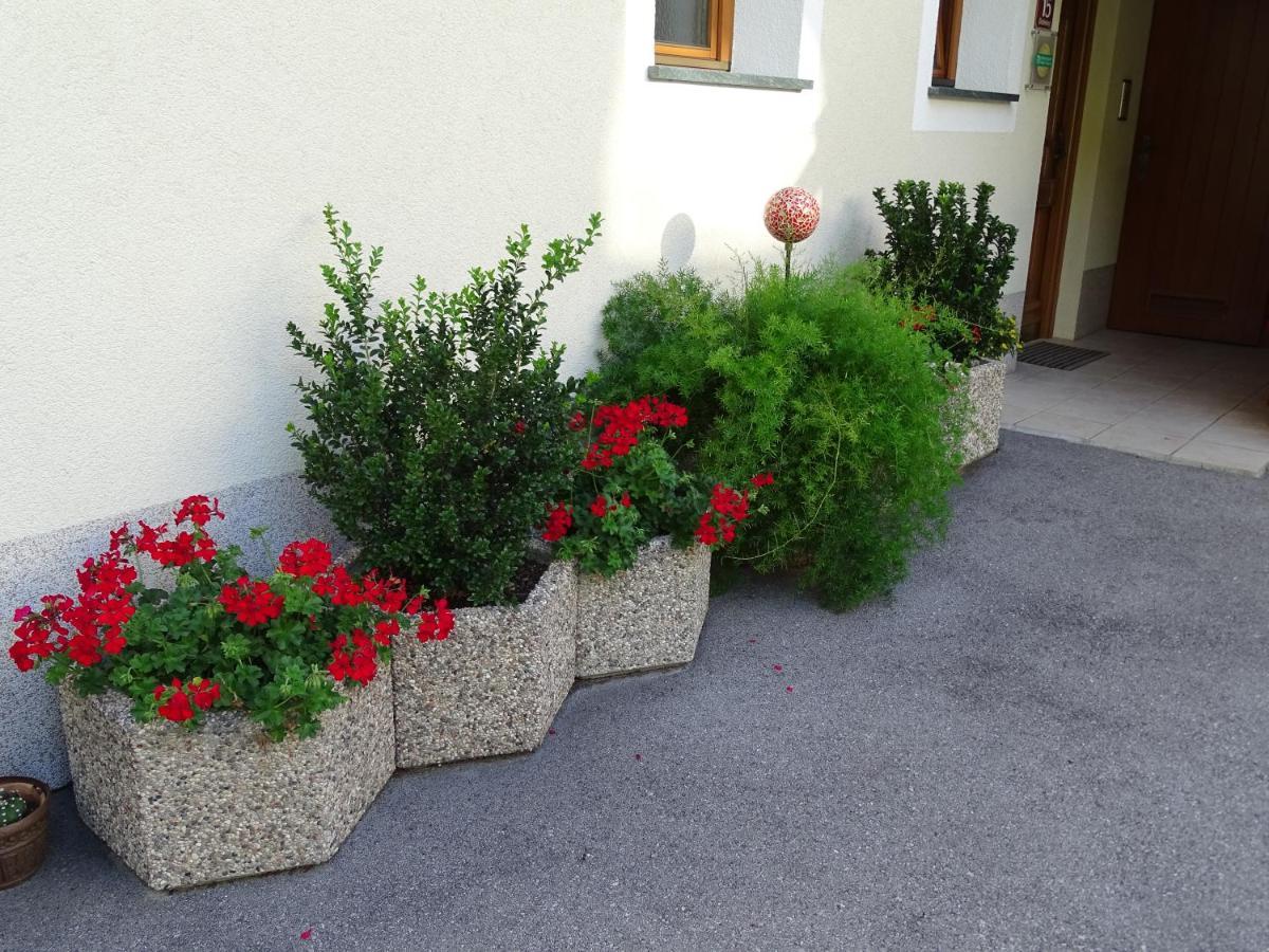 Appartement Sylvester Matrei in Osttirol Esterno foto